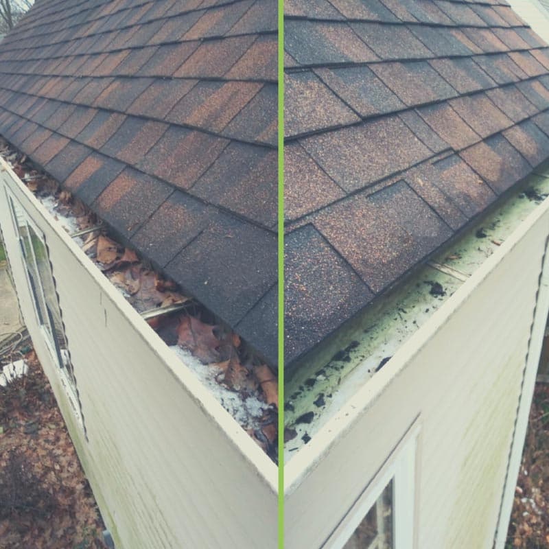 Professional gutter cleaning service