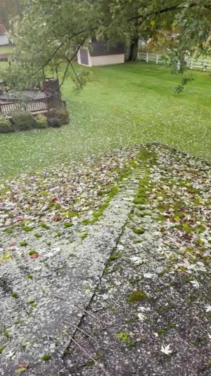 Clean roof after algae removal