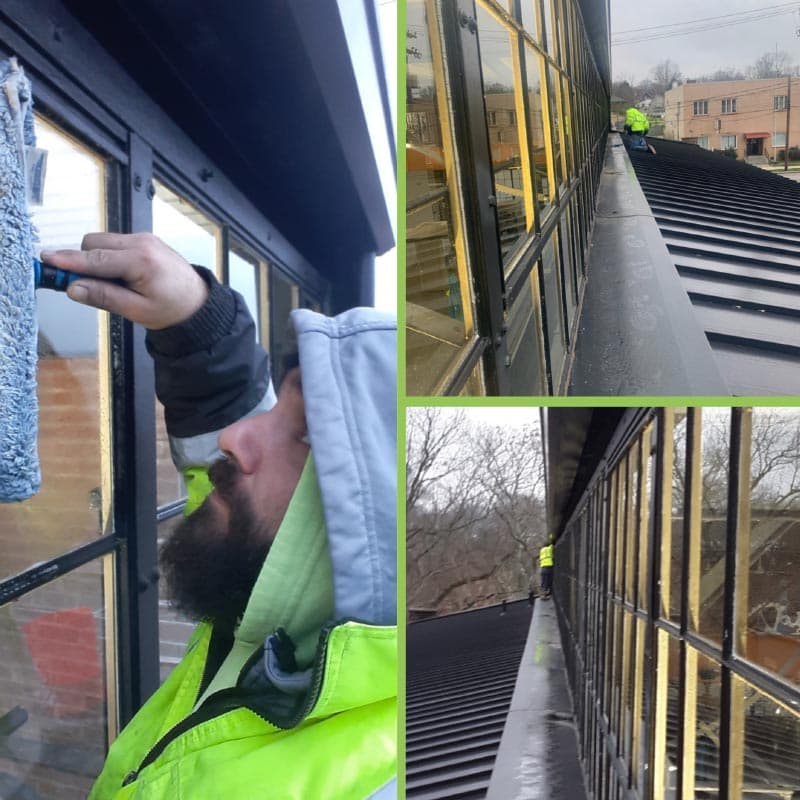 Professional window cleaning service